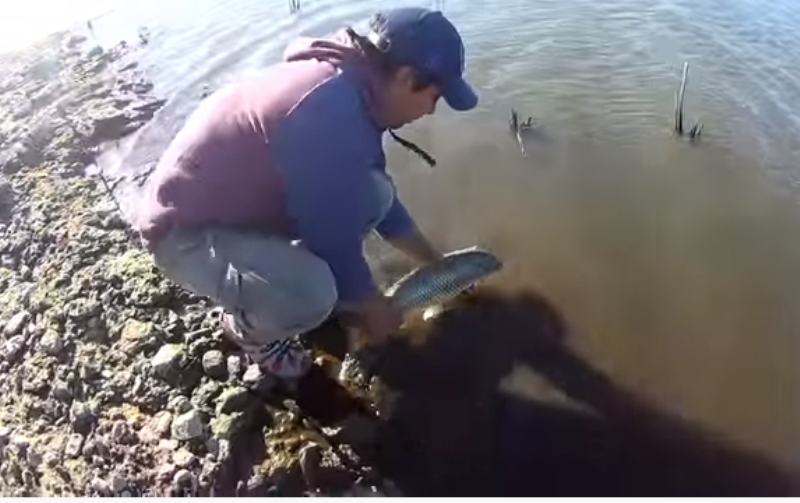 UN PRINGLENSE ELABORÓ UN NUEVO CEBO PARA LA PESCA DE CARPAS QUE SE VENDE EN EL PAÍS