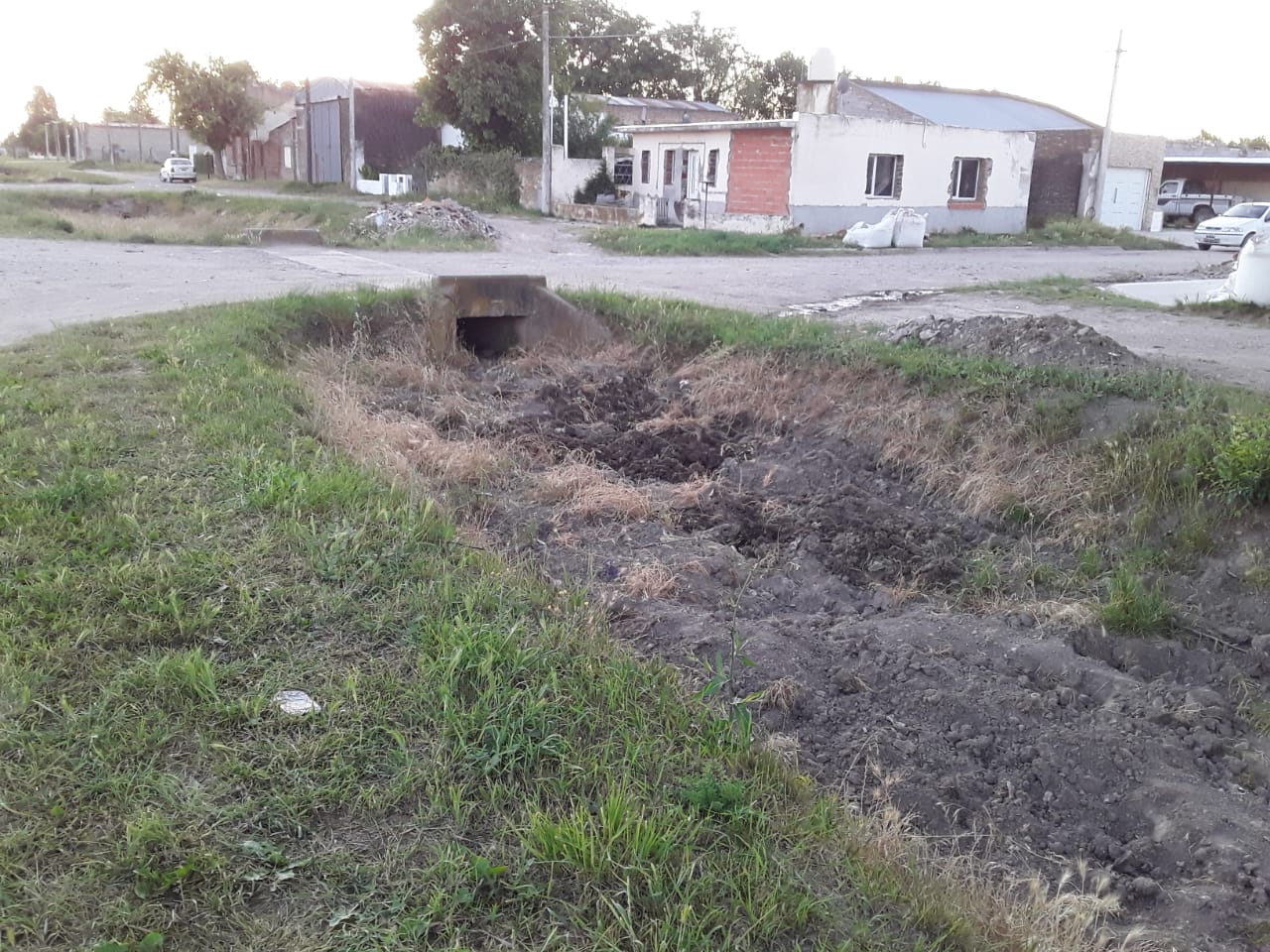 Extracción de lombrices