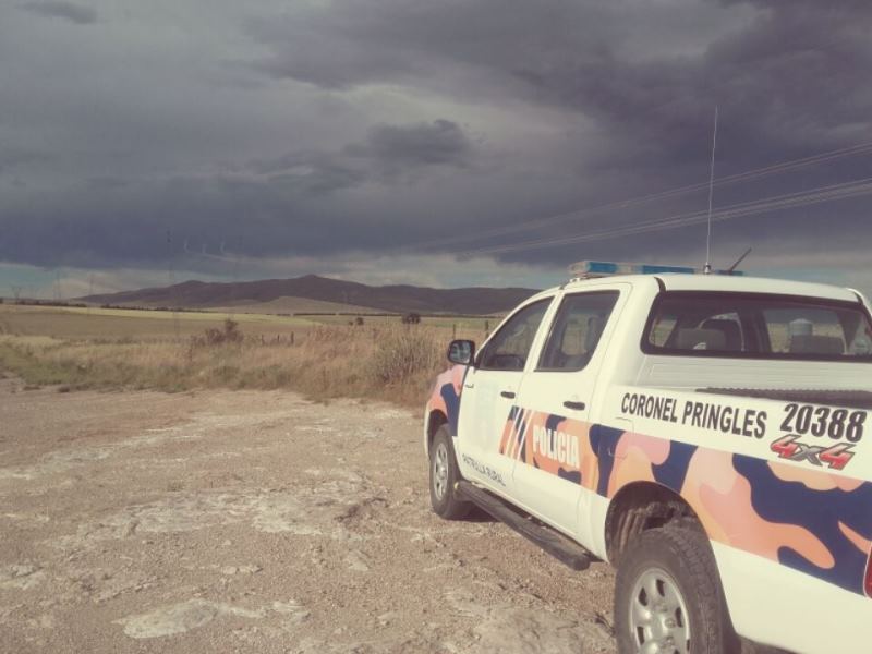 FAENAN TRES TERNEROS EN EL CAMPO DE UN PRODUCTOR PRINGLENSE