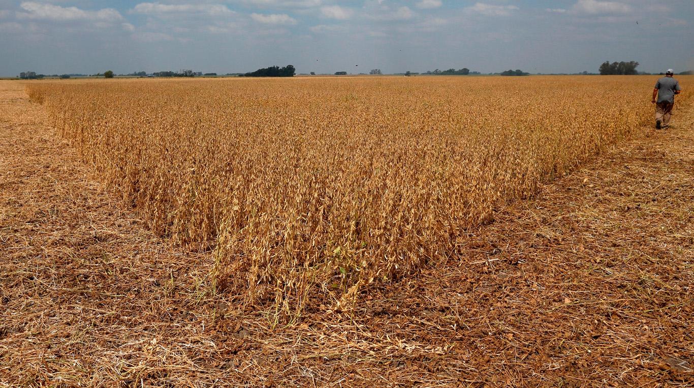 Se solicita la Emergencia Agropecuaria para nuestro distrito