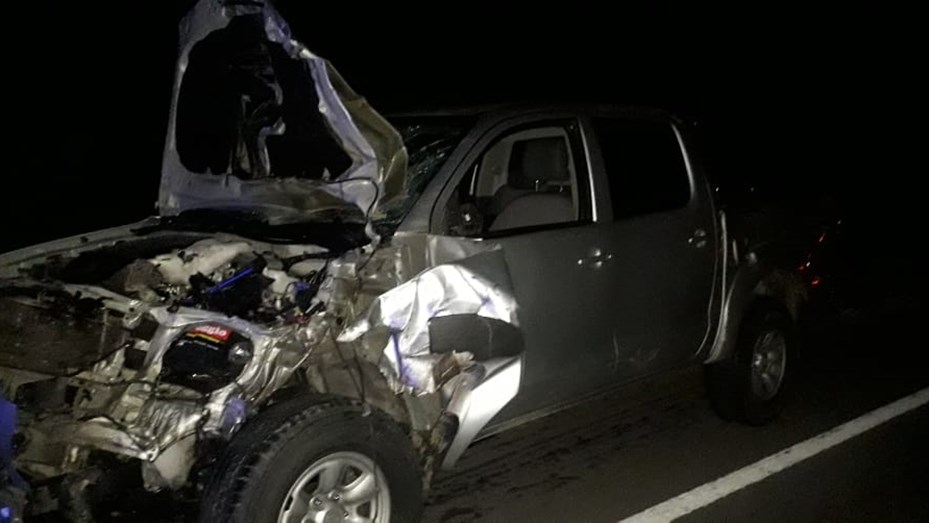 RUTA 3: Una camioneta embistió a un caballo y sus ocupantes resultaron ilesos