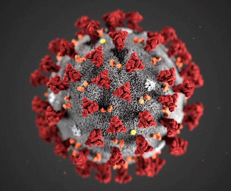 Coronavirus en Bahía: Confirmaron 8 nuevos casos positivos