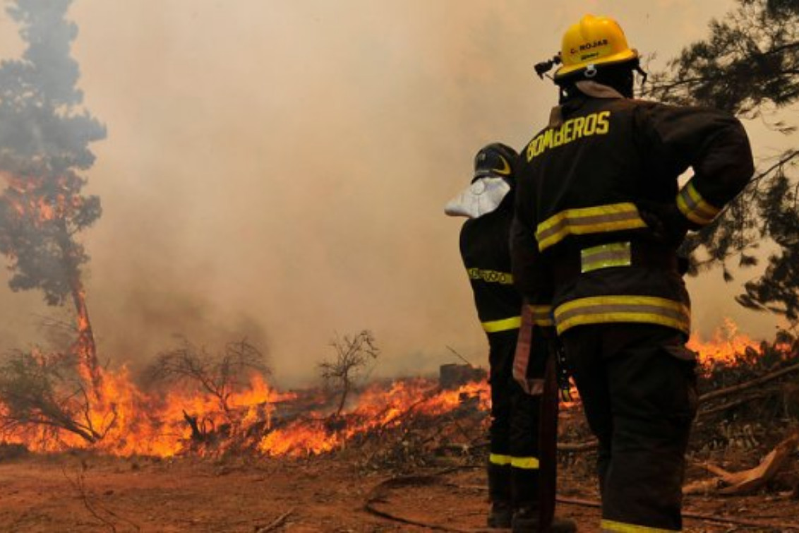 Incendios forestales: declaran la emergencia ígnea en todo el país por un año