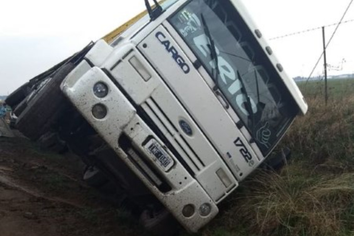 Ocho vacas y seis terneros muertos, tras el vuelco de un camión jaula