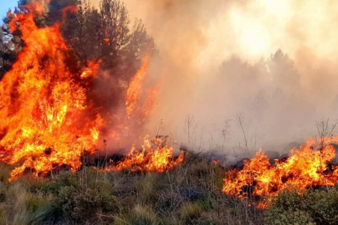 Domingo con dos salidas por incendios forestales en la región