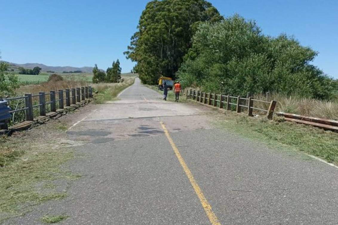 RUTA 76: Trabajo de limpieza de ramas entre San Eloy y Sierra de la Ventana