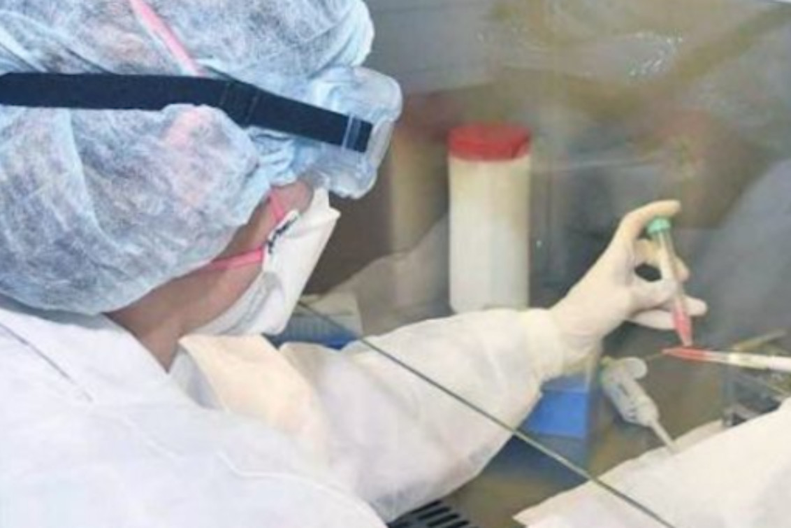 La situación epidemiológica de Pringles y de la zona