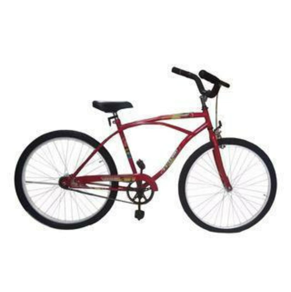 SUSTRAJERON UNA BICICLETA