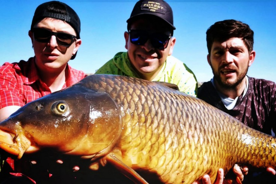 Récord argentino: olavarriense sacó una carpa de 19 kilos en el Arroyo Tapalqué