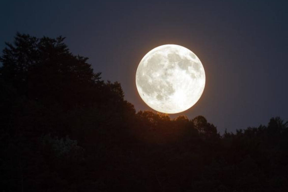 La última Superluna del año: cuándo podrá verse en Argentina