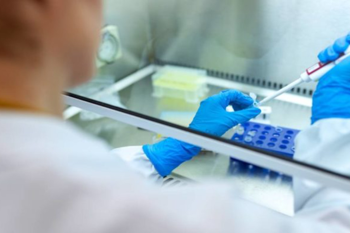 Coronavirus: se reportaron 641 contagios y 5 fallecidos, en el marco del feriado