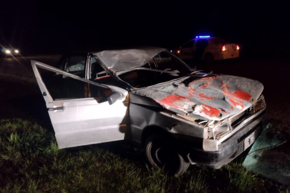Un automóvil colisionó contra un caballo suelto